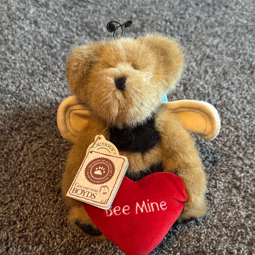 Boyd's bear